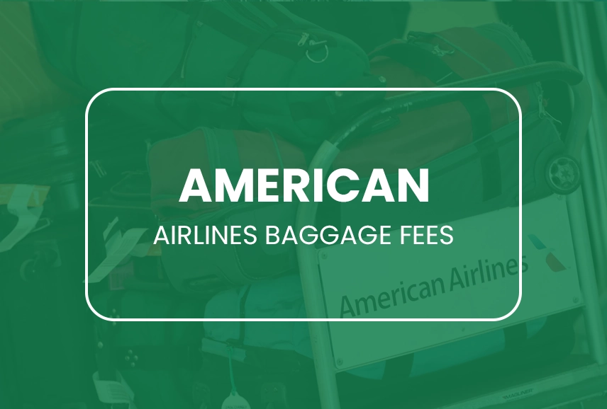 American Airlines Baggage Fees